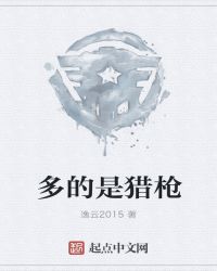 多的是猎枪封面