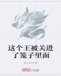 这个王被关进了笼子里面封面
