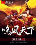 鸣凤天下封面
