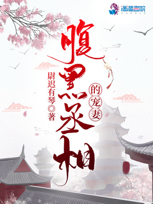 腹黑丞相的宠妻封面