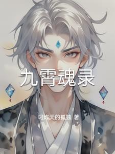 九霄魂录封面