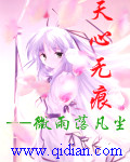 天心无痕封面