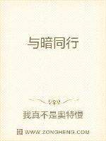 与暗同行封面