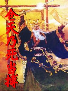 穿越后我还是戴黄盔穿黄袍封面