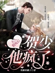 夫人假死后,贺少他疯了封面