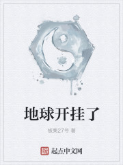 地球开挂了封面