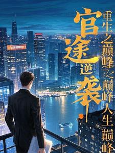 官途逆袭:重生之巅峰人封面