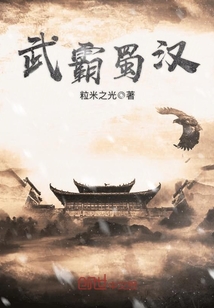 武霸蜀汉封面