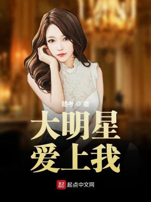 大明星爱上我封面