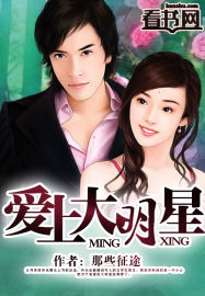 爱上大明星封面