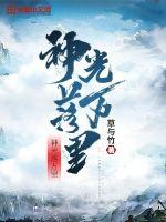 神光落万里封面