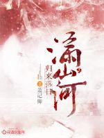 归来落日满山河封面