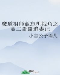 魔道祖师蓝忘机视角之蓝二哥哥追妻记封面