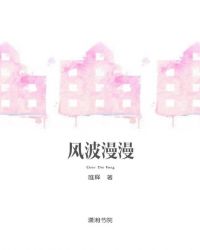 风波漫漫封面