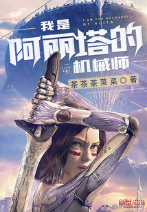 我是阿丽塔的机械师封面