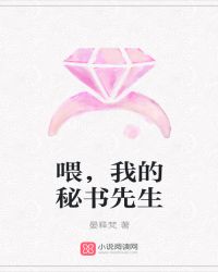 喂，我的秘书先生封面
