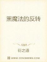黑魔法的反转封面
