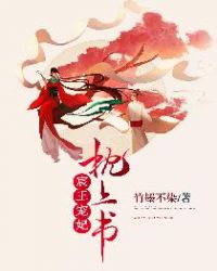 宸王宠妃枕上书封面