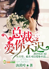 总裁，爱你不迟封面