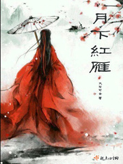 月下红雁封面