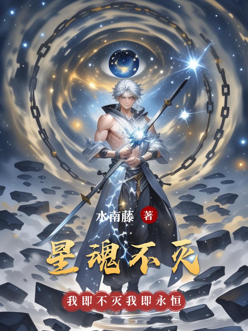星魂不灭封面