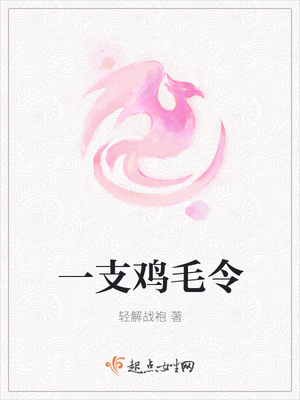 一支鸡毛令封面