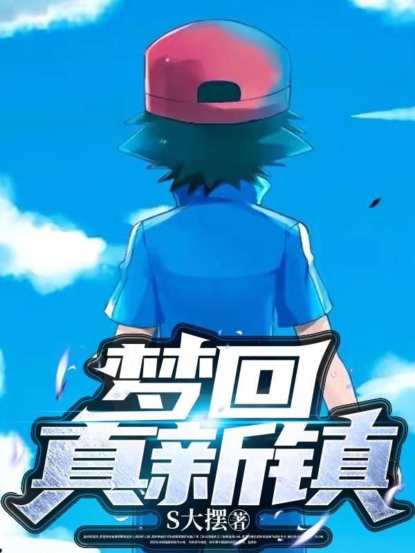 梦回真新镇封面