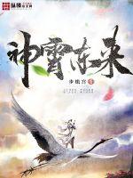 神霄东来封面