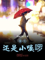 重生还是小喽啰封面