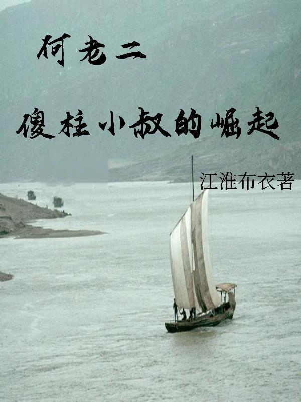 何老二傻柱小叔的崛起封面