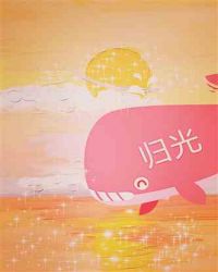 归光封面