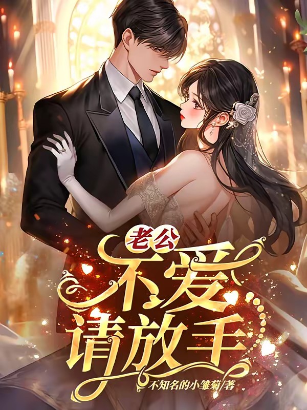 老公，不爱请放手封面