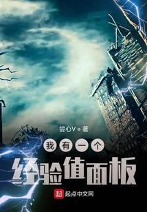 我有一个经验值面板封面