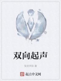 双向起声封面