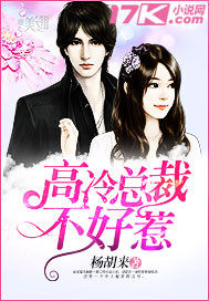 高冷总裁不好惹封面