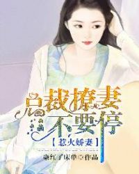 惹火娇妻:总裁撩妻不要停封面