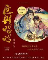 愿与昭昭共白头封面