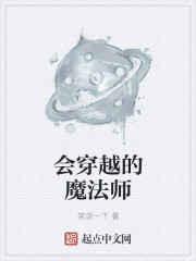 会穿越的魔法师封面