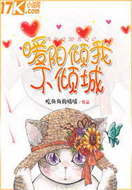 暖阳倾我不倾城封面