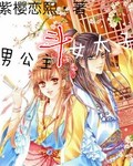 男公主斗女太子封面
