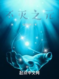 不灭之元封面