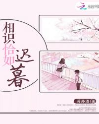 相识恰如迟暮封面