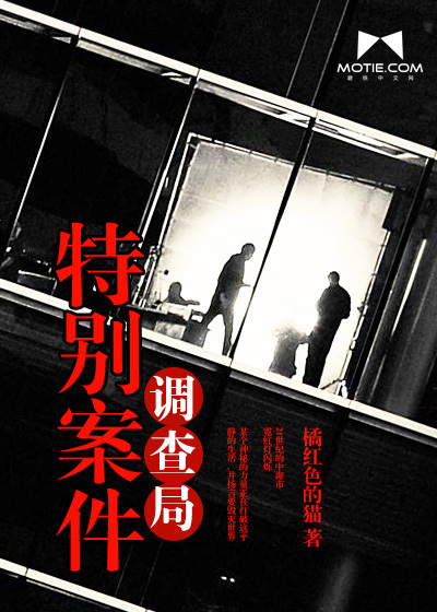 特别案件调查局封面
