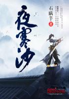 夜寒沙封面