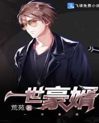 一世豪婿封面