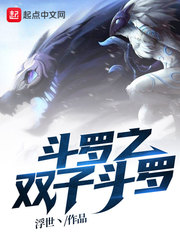 斗罗之双子斗罗封面
