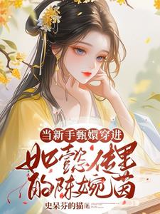 甄嬛来到大如传封面