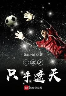 足球之只手遮天封面