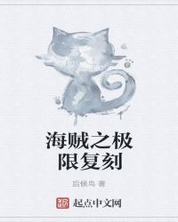 海贼之极限复刻封面