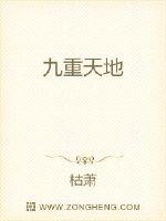 九重天地封面